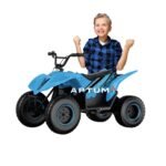 Aptum Quad électrique DQ 500